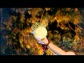 Dum Dum Damru By Feroz Khan Lyrics SARJEEWAN