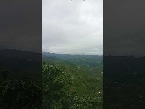 palestina Huila Colombia 🇨🇴
