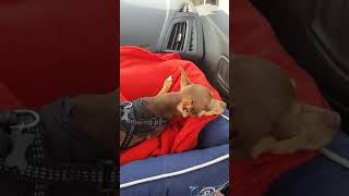 EL BARRIO LAS COSTURAS DEL ALMA