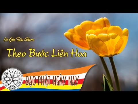 Lời giới thiệu album Theo bước Liên hoa