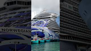 SYMPHONY OF THE SEAS AND NCL VIVA!🛳️  #cruisetour #cruise