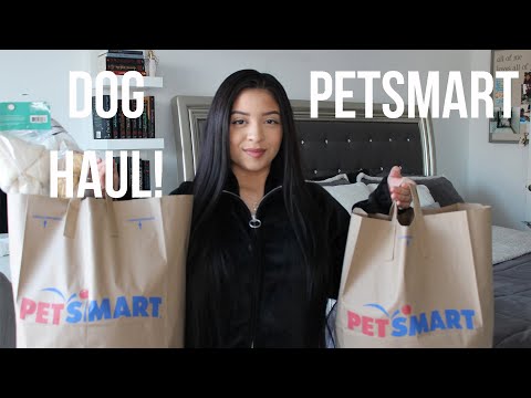 download lagu mp3 mp4 Petsmart Hours New Years Day, download lagu Petsmart Hours New Years Day gratis, unduh video klip Petsmart Hours New Years Day