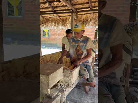 Casa de farinha na comunidade da Faveira no município de Nova Olinda do Maranhão- MA