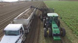 Sugar Beet Harvest 2016
