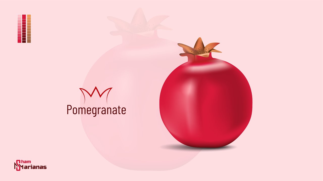 Pomegranate illustration | Mesh Tool - illustrator | Sham Marianas