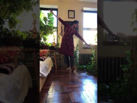 Bharatanatyam for Creative Aging: "Offering the rainbow" sequence