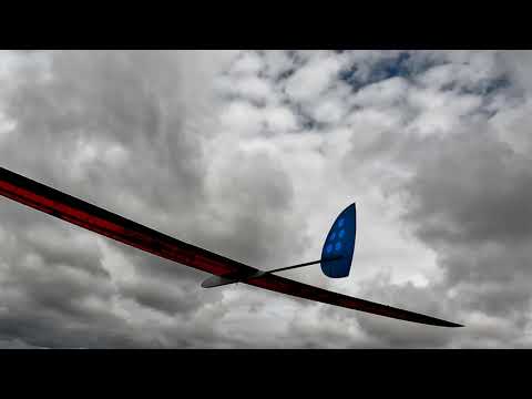 REpuS F3-RES glider playing with a Buzzard and a Red Kite