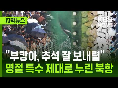 [자막뉴스] "부캉아, 추석 잘 보내렴" 명절 특수 제대로 누린 북항 / KBS 2026.09.25.