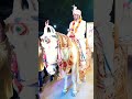 Trending Ghodi Per Hote Sawar Dulha Dulhan Saadi Video Shorts