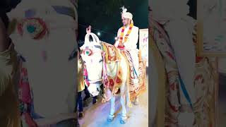 Download lagu #trending Ghodi per Hote Sawar #dulha #dulhan #saadi #video #shorts mp3