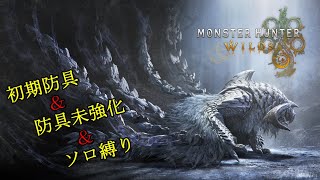 【MONSTER HUNTER WILDS】初期防具で新たな大地を練り歩く　狩猟日記Day1-3　※ネタバレ注意