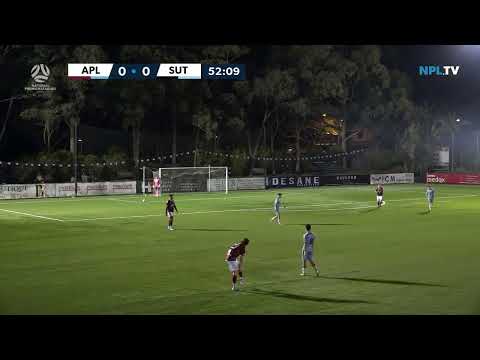 NPL NSW Men's Round 21 Fixture – APIA Leichhardt v Sutherland Sharks