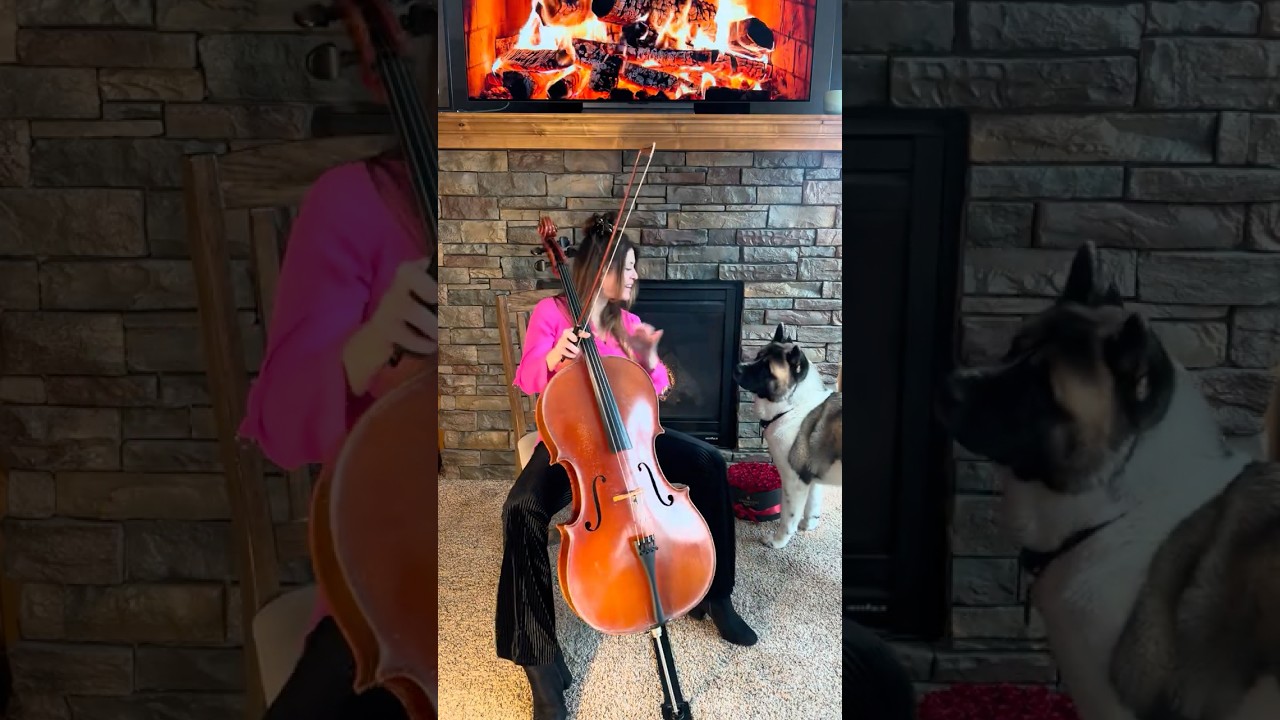 Promotional video thumbnail 2 for Cello by Triana