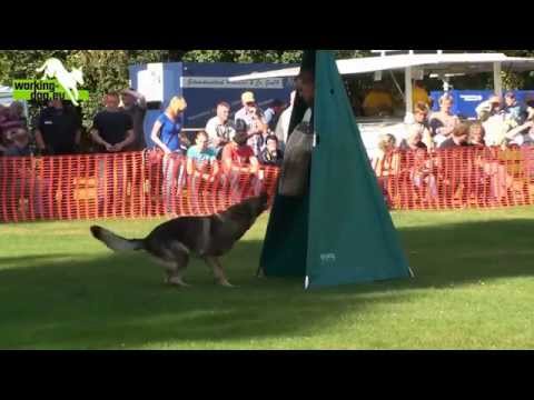 Atze vom Spektefeld LGA2012 C 98P V