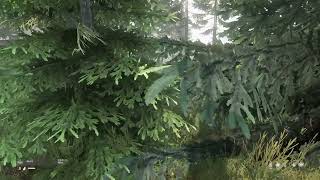DayZ(Xbox Series S) broadcast archive 20221101-2(rounds21 - day8)