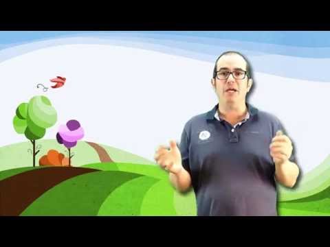 Vídeo: Que é a meteoroloxía?