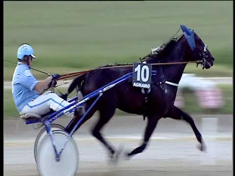 Trotto 22/06/2019 - 3ª corsa