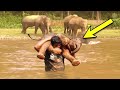 A Man Rescues Drowning Baby Elephant. Then The Herd Surprises Everyone With An Unexpected Response