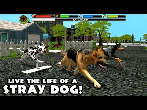 Stray Dog Simulator-Симулятор бродячих Cобак- By Gluten Free games-IOS/Android