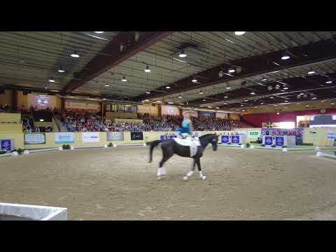 freestyle Alina Ross