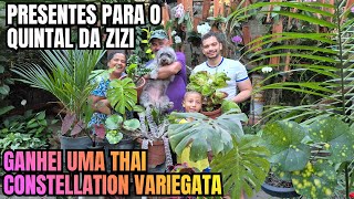 GANHEI UMA THAI CONSTELLATION! Tour pelas plantas que ganhei de inscritos e amigos | DICAS 