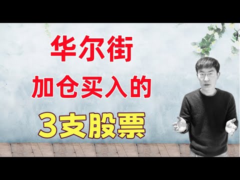 Thumbnail for 华尔街投行竟然都加仓了这3支股票？！