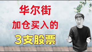 Thumbnail for 华尔街投行竟然都加仓了这3支股票?!