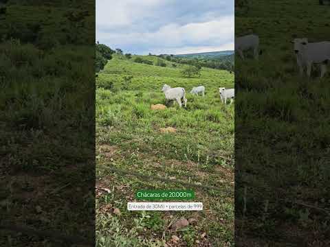 Chácaras de 20.000m no Lago Corumbá IV Alexânia Goiás