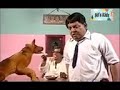 Lollu Sabha Thulluvatho Ilamai
