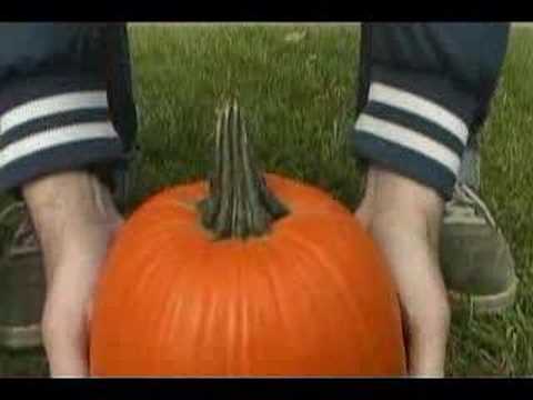 The Twirpentines - The Seams Video