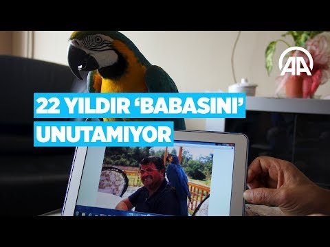 Özal'ın papağanı 22 yıldır "babasını" unutamıyor
