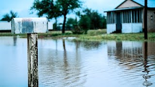 Scientists Warn of Possible 50 Ft. Sea Level Rise