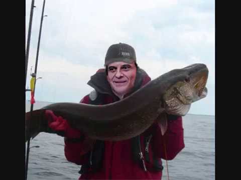 Joe Pesci Calls The Inspector General