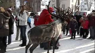 Download lagu Reindeer Visit Windom, Minnesota mp3