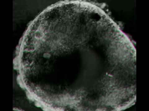 T78 & Space 92 - Ground Zero ( Original Mix )