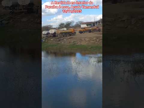 🇧🇷 NA SECA, A REALIDADE É ESSA, AÇUDE TAMANDUÁ ENTRE NOVA PALMEIRA E PICUÍ, PARAÍBA #chuvas