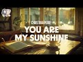 Christina Perri ~ You Are My Sunshine (lyrics)