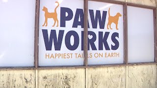 Oxnard animal shelter granted permit, no longer forced to shut down