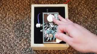 Malekko Spring Chicken Reverb - What To Know & Where To Buy