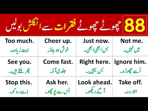 88 Daily Use English Speaking Sentences with Urdu Translation | Grammareer