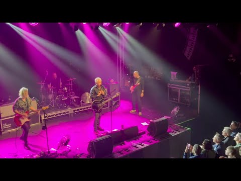 Thumbnail for ‘Watusi 30 Live’  - Documentary Trailer by The Wedding Present