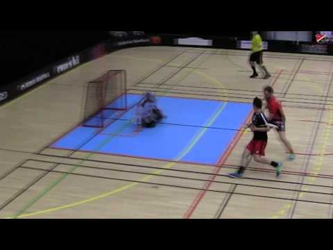 FHIB vs FBC Lerum 2015-02-21