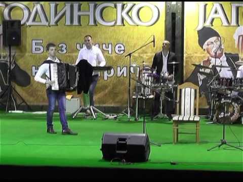 15 FESTIVAL PRVA HARMONIKA SRBIJE - JAGODINA 2015 - 5 DEO