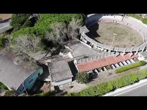 Quinta dos Cedros 2020 Outlook