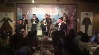 Mariachi Sol de México de José Hernández