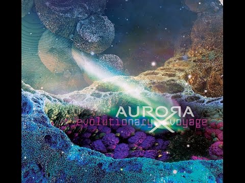 AuroraX - Navigations [Evolutionary Voyage]