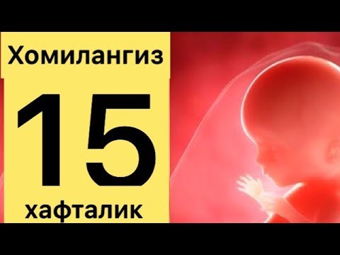 Болажонингиз 15-хафтасида кандай холатда