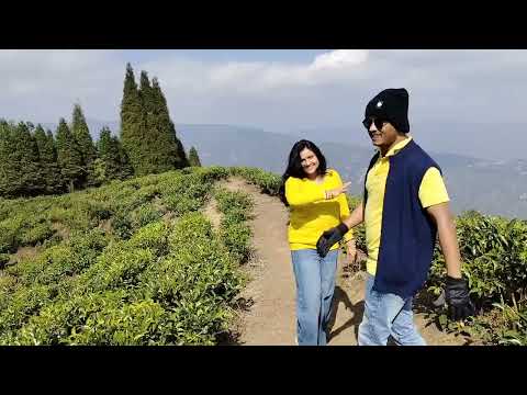 Suraj hua maddham 💕#dance #mountainview #teagarden #sikkimtour #danceinnature