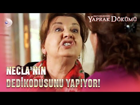 Hayriye, Necla'nın Dedikodusunu Yapıyor! - Yaprak Dökümü 152. Bölüm
