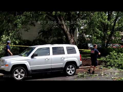 05-16-2022 McEwensville to Williamsport, PA - Apartment Building Damaged As Multiple Trees Destroyed